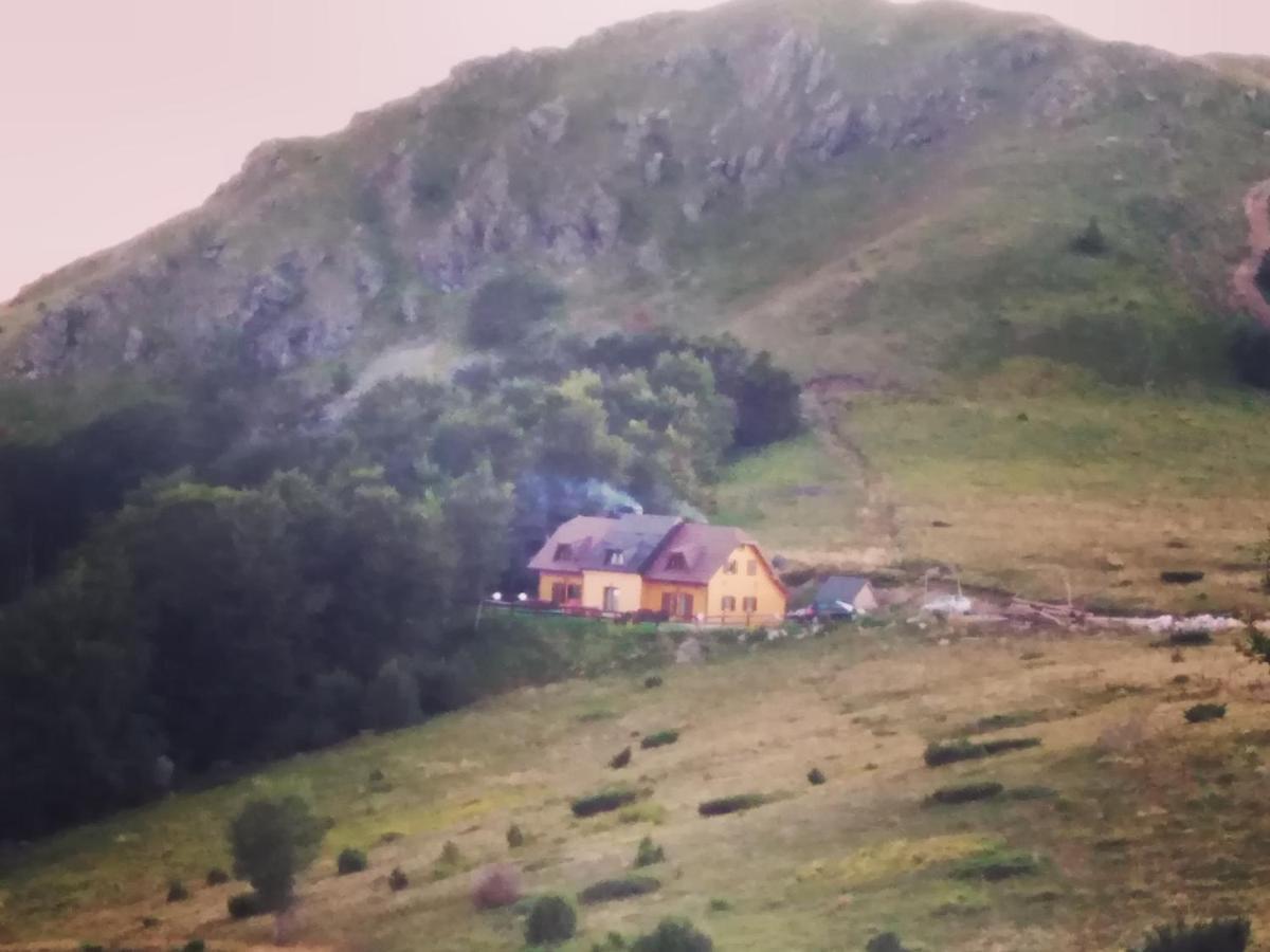 Vikendica Vila Despotovic كوباونيك المظهر الخارجي الصورة
