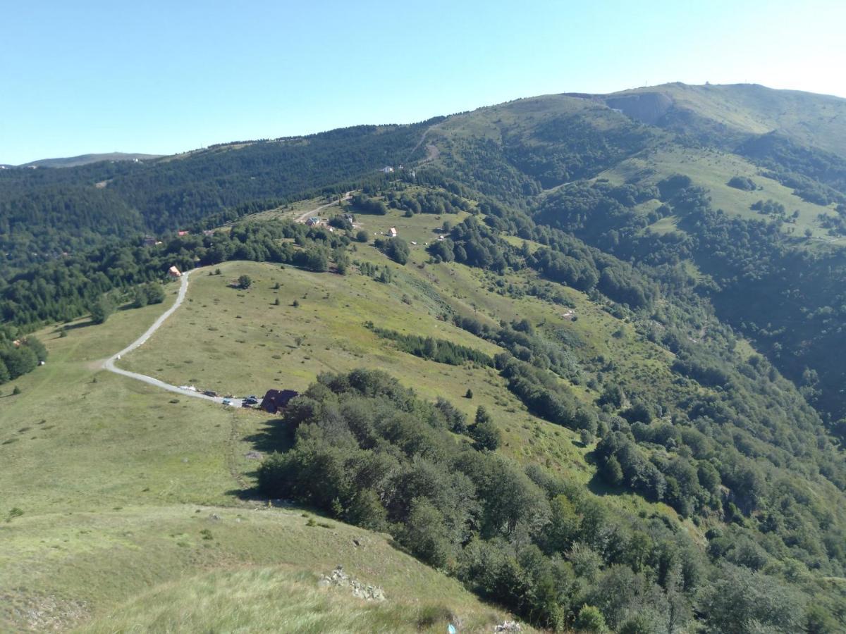 Vikendica Vila Despotovic كوباونيك المظهر الخارجي الصورة