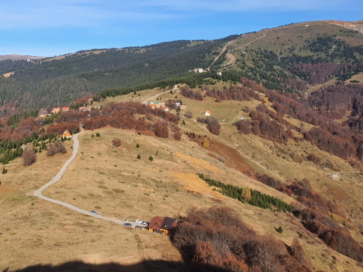 Vikendica Vila Despotovic كوباونيك المظهر الخارجي الصورة