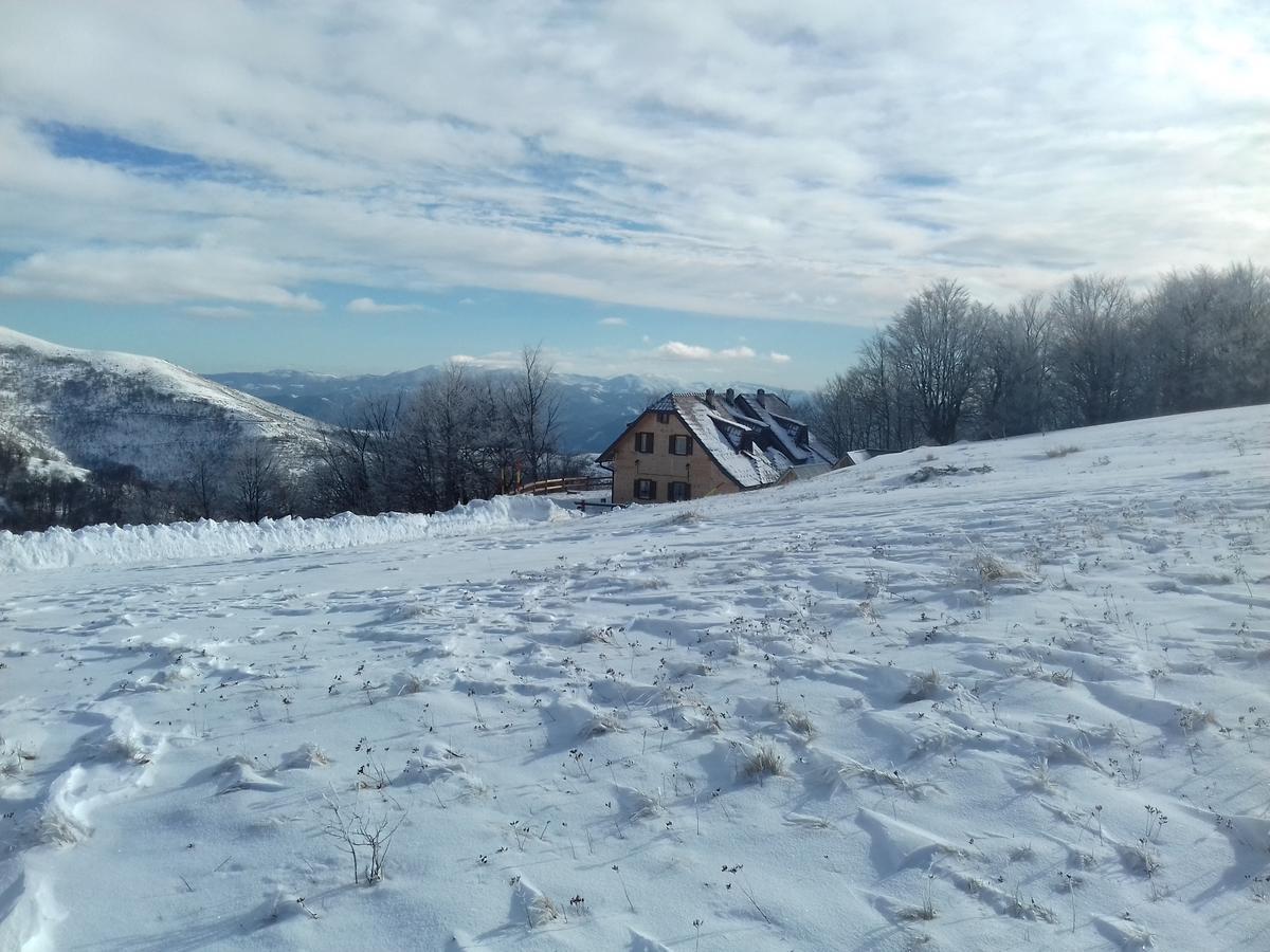 Vikendica Vila Despotovic كوباونيك المظهر الخارجي الصورة