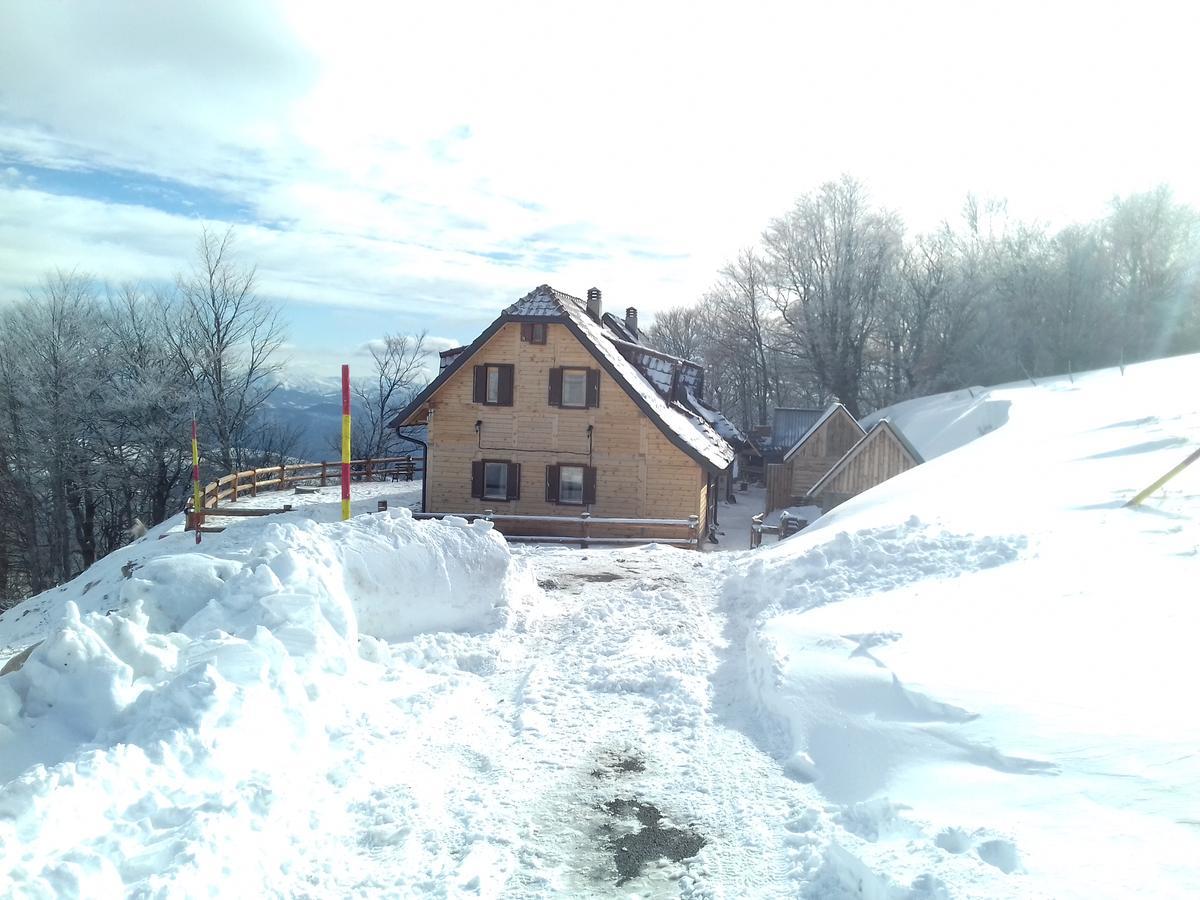 Vikendica Vila Despotovic كوباونيك المظهر الخارجي الصورة
