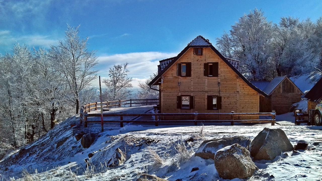 Vikendica Vila Despotovic كوباونيك المظهر الخارجي الصورة