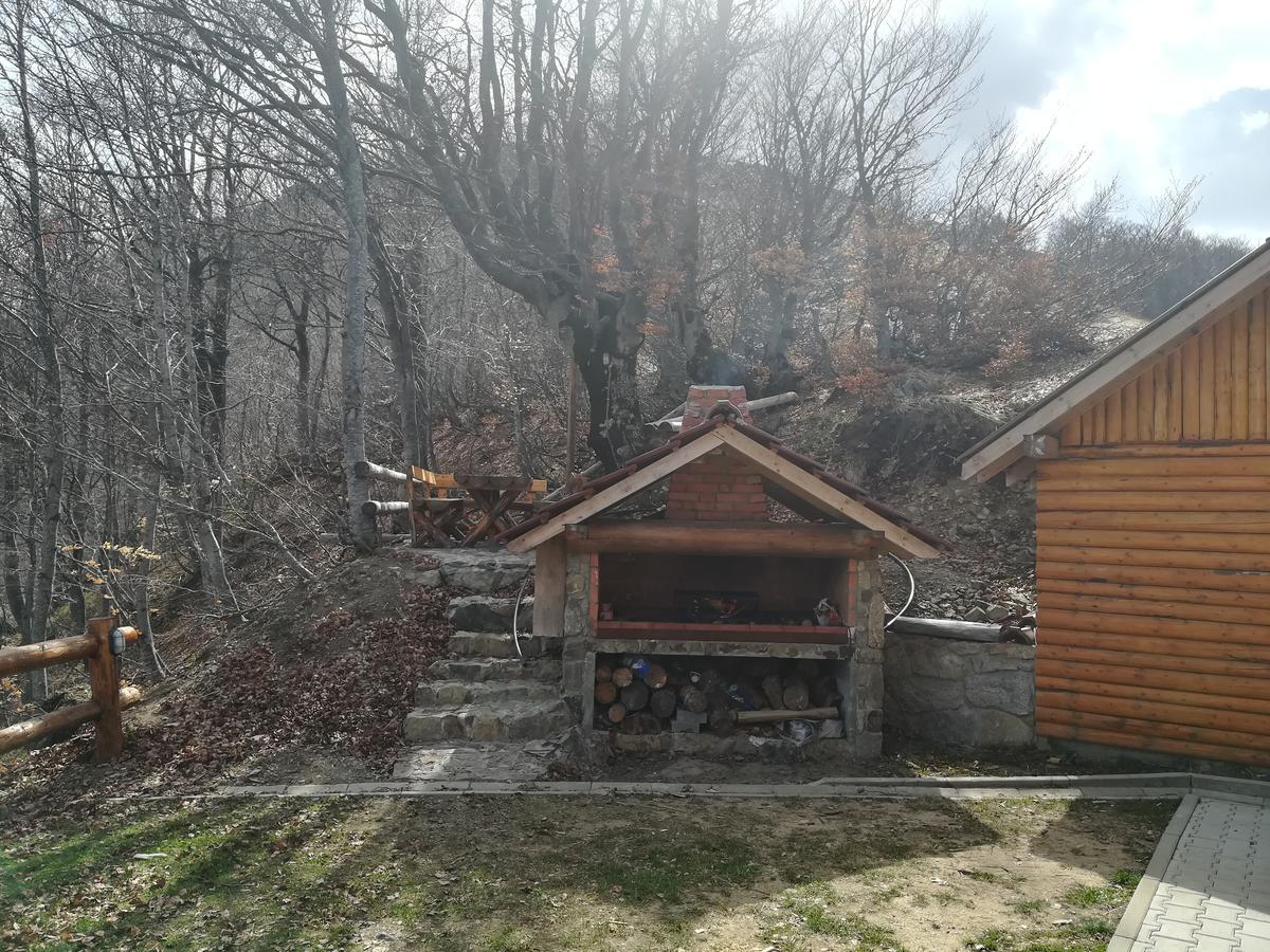 Vikendica Vila Despotovic كوباونيك المظهر الخارجي الصورة