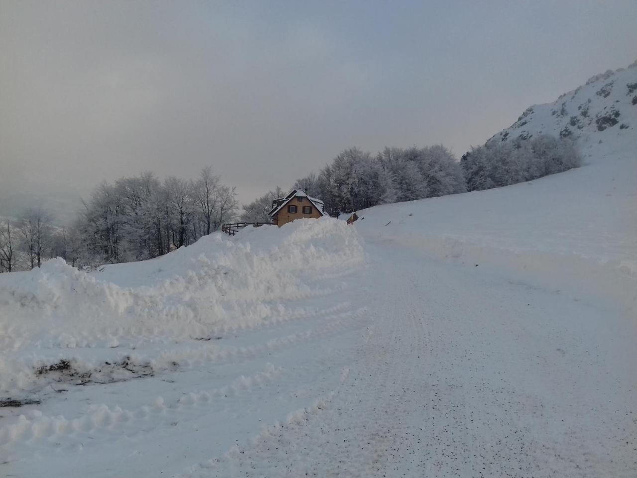Vikendica Vila Despotovic كوباونيك المظهر الخارجي الصورة