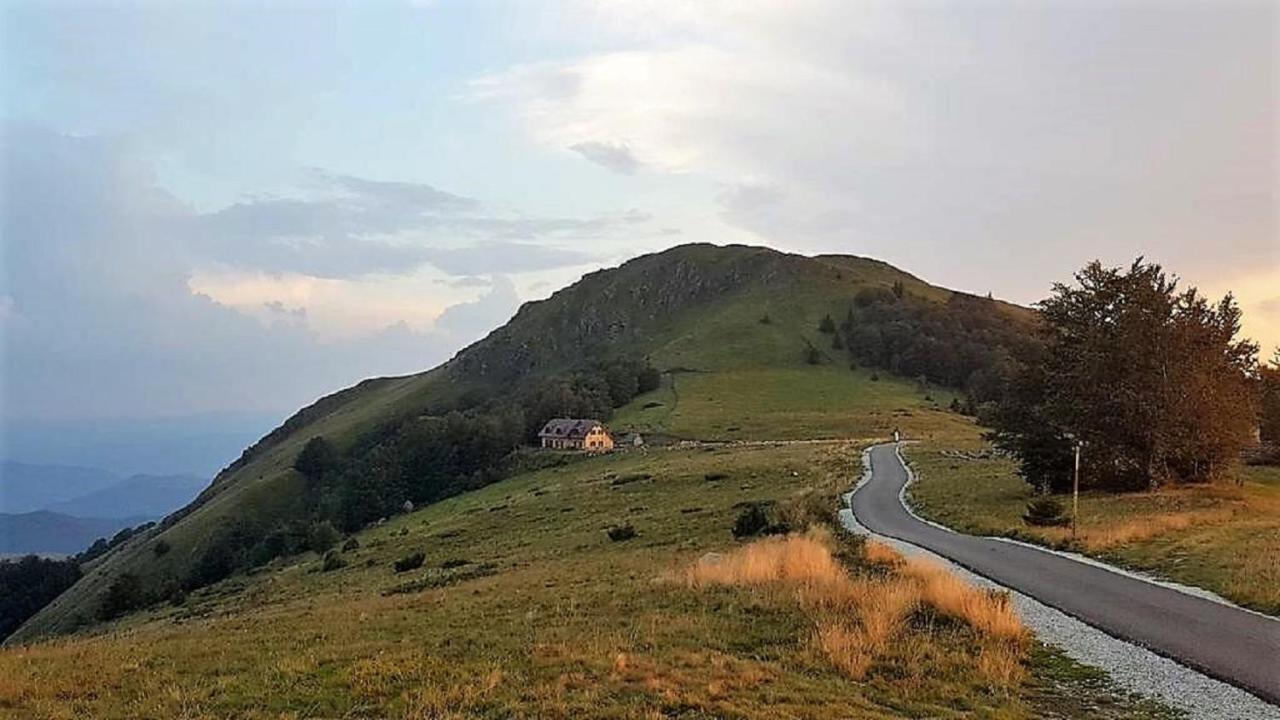 Vikendica Vila Despotovic كوباونيك المظهر الخارجي الصورة